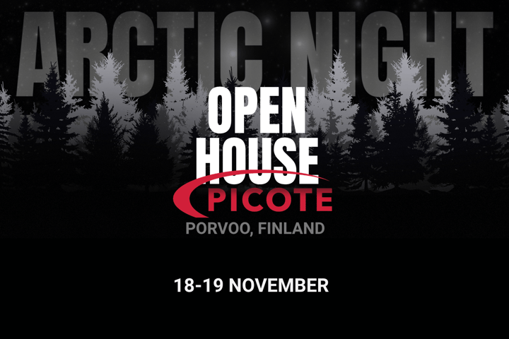 ARCTIC NIGHT AT PICOTE for webpage