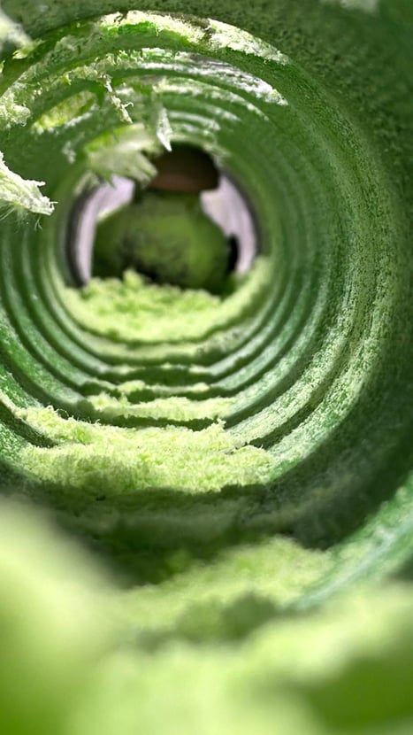 WhatsApp Image 2025-12-01 at 16.08.31_0655afd6