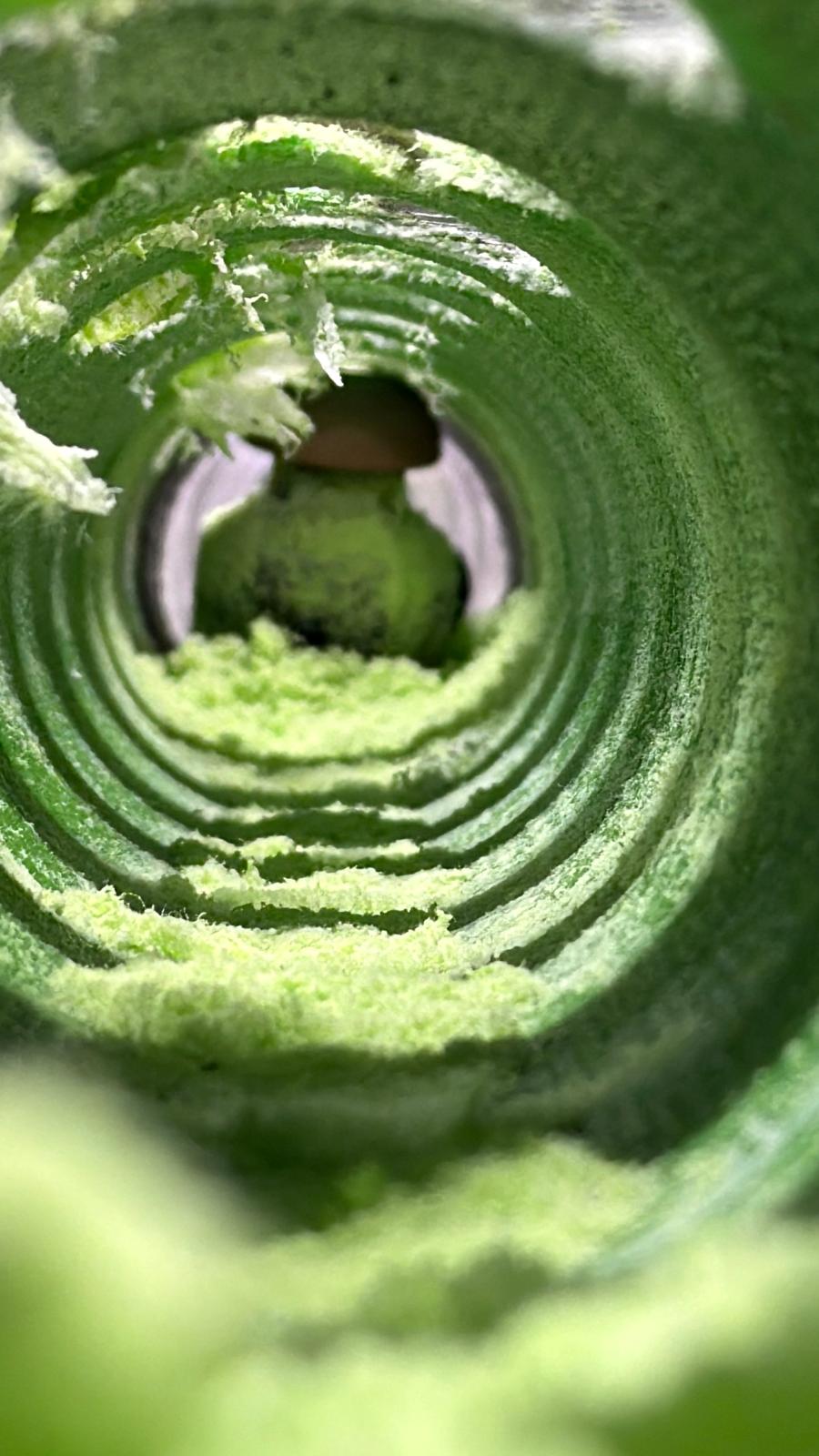 WhatsApp Image 2026-01-06 at 16.52.18