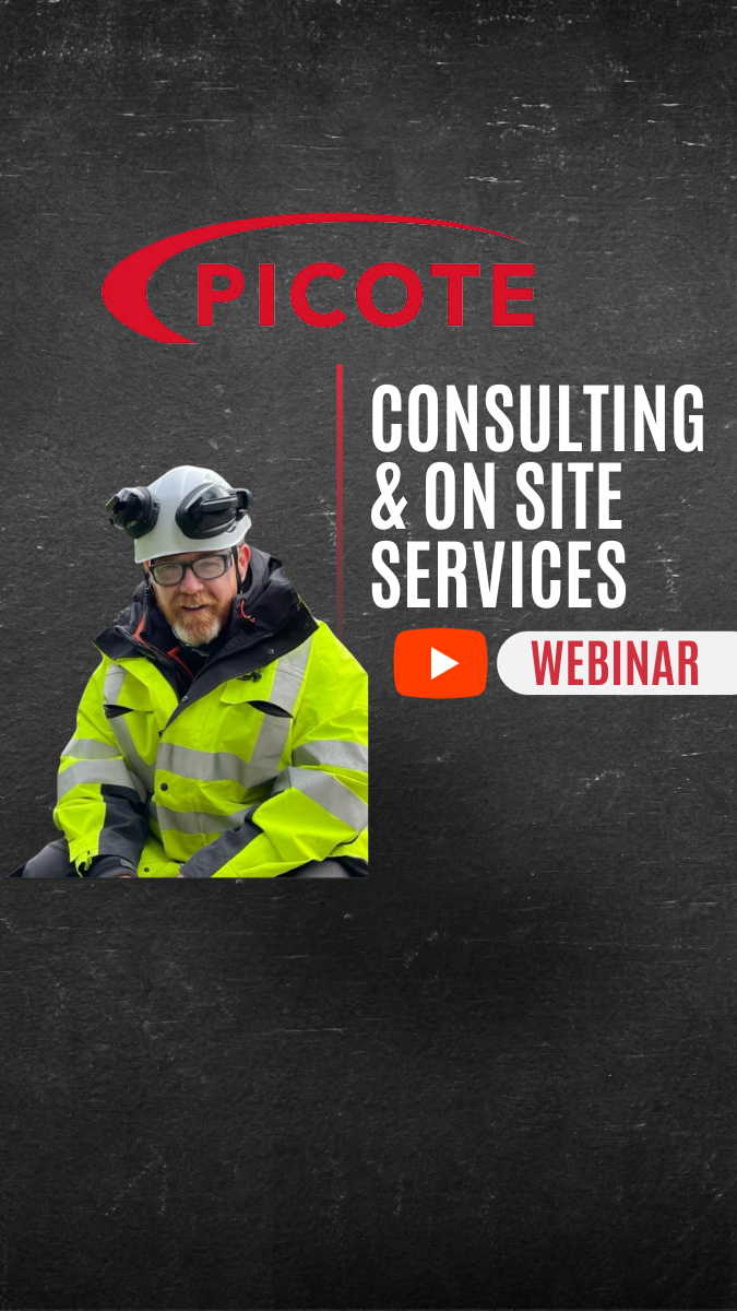 consulting & on site services 12 jan PLAY-1